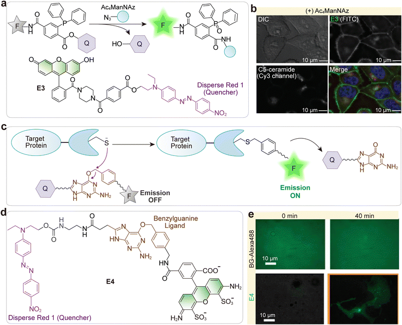 image file: d5cs01519g-f3.tif