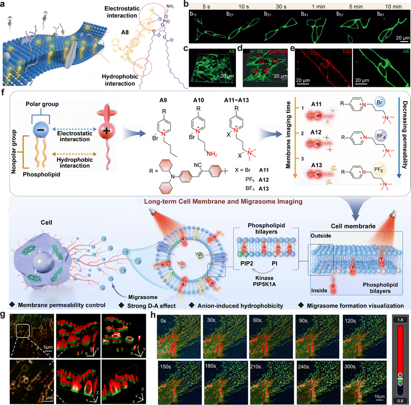 image file: d5cs01519g-f31.tif
