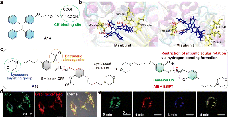 image file: d5cs01519g-f32.tif