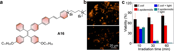 image file: d5cs01519g-f33.tif