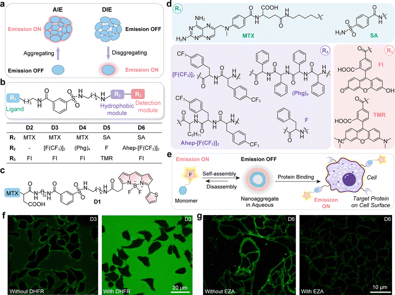 image file: d5cs01519g-f35.tif