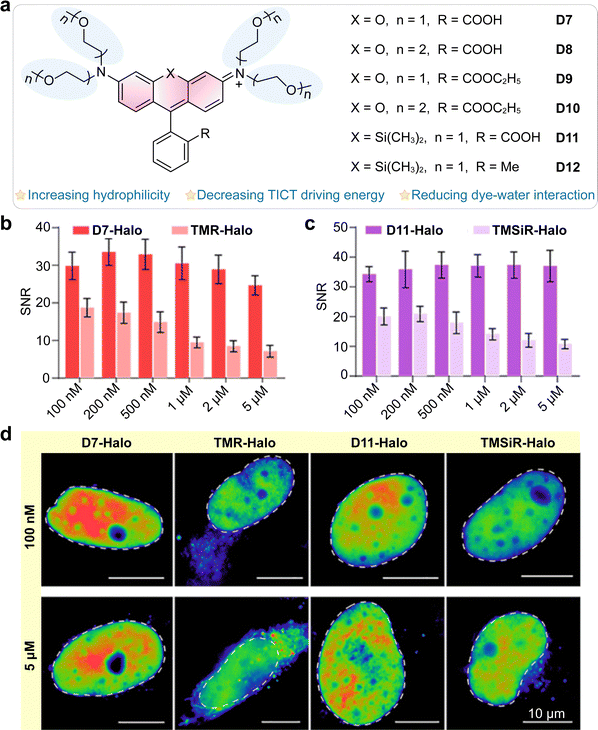image file: d5cs01519g-f36.tif