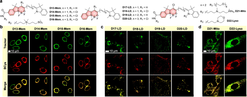 image file: d5cs01519g-f37.tif