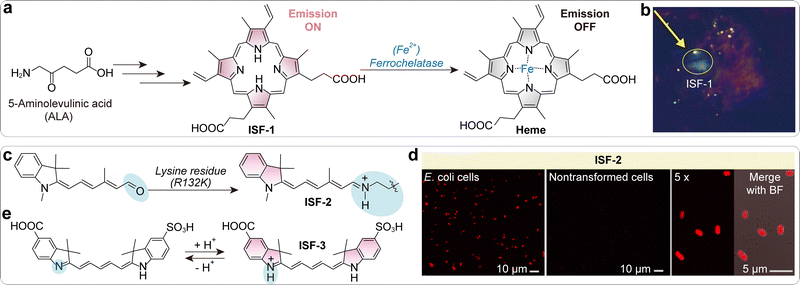 image file: d5cs01519g-f40.tif