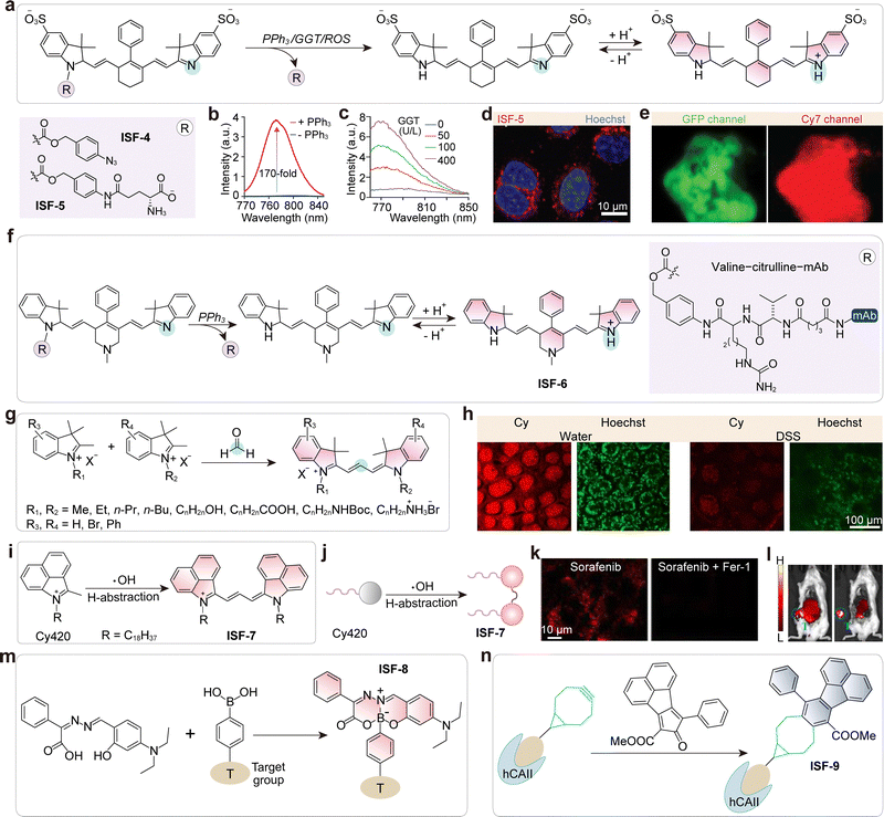 image file: d5cs01519g-f41.tif