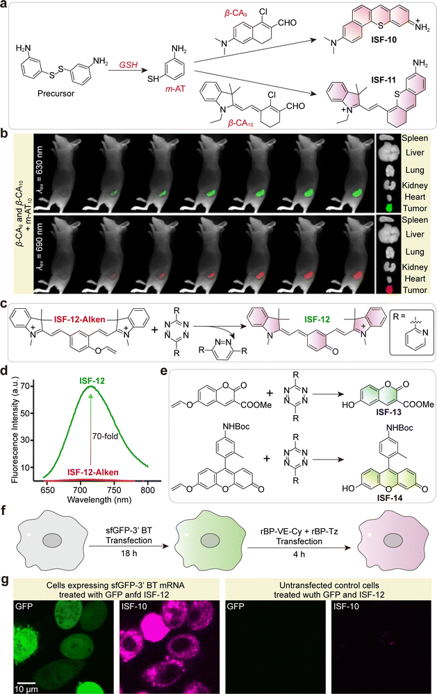 image file: d5cs01519g-f42.tif