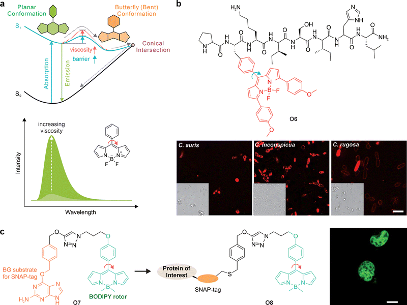 image file: d5cs01519g-f45.tif