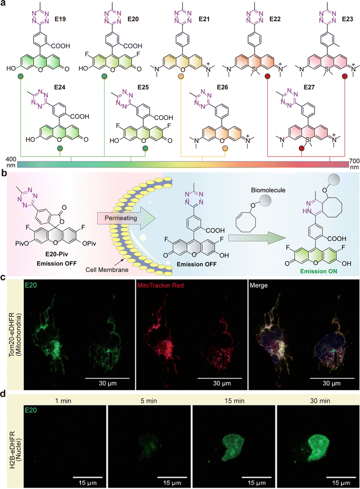 image file: d5cs01519g-f6.tif