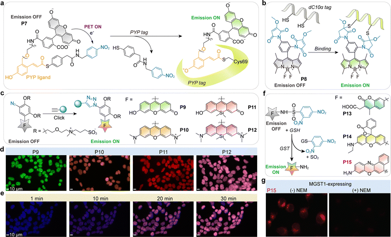image file: d5cs01519g-f8.tif