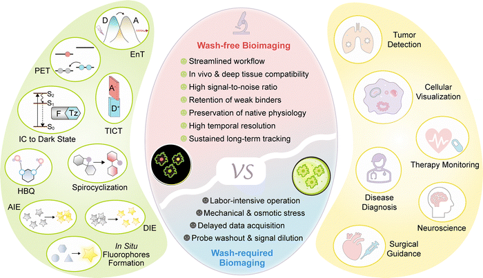 image file: d5cs01519g-s1.tif