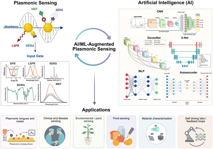 image file: d5cs01522g-f1.tif