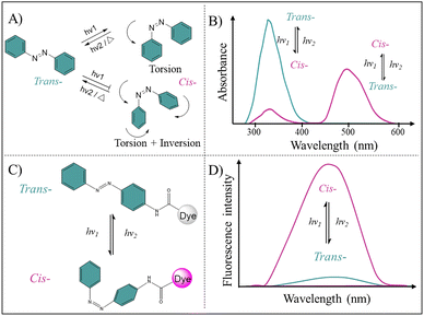 image file: d6cs00003g-f3.tif