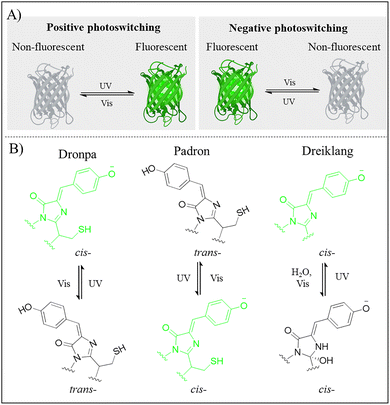 image file: d6cs00003g-f7.tif