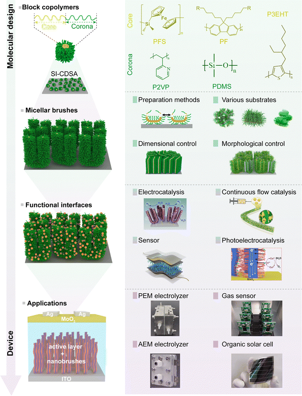 image file: d6cs00030d-f1.tif