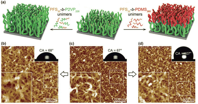 image file: d6cs00030d-f10.tif