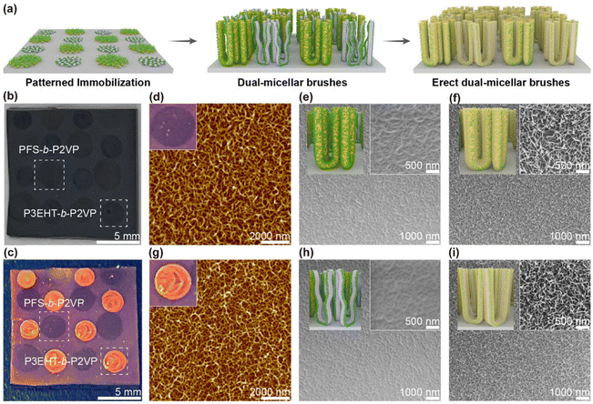 image file: d6cs00030d-f11.tif