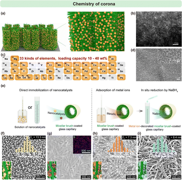 image file: d6cs00030d-f12.tif