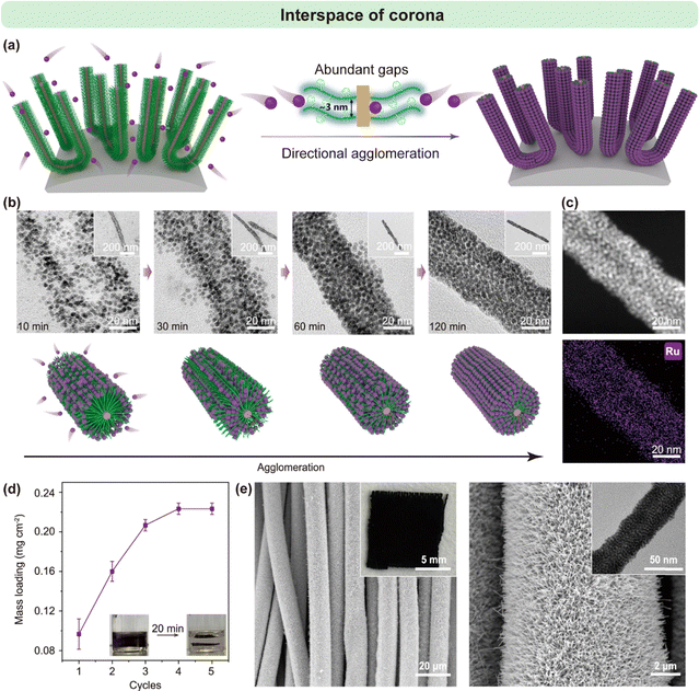 image file: d6cs00030d-f13.tif