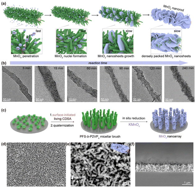 image file: d6cs00030d-f14.tif