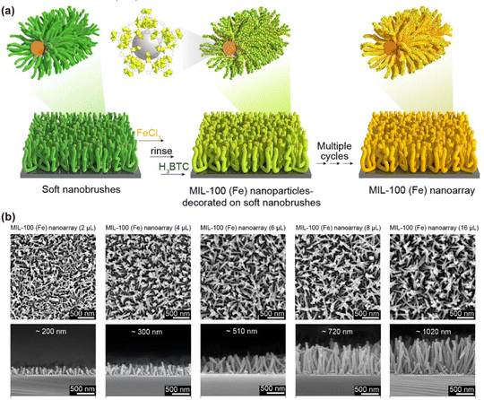 image file: d6cs00030d-f16.tif