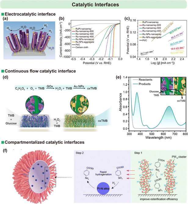 image file: d6cs00030d-f17.tif