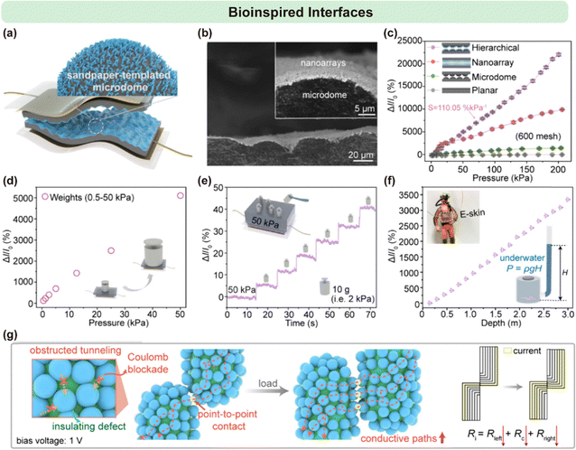 image file: d6cs00030d-f18.tif