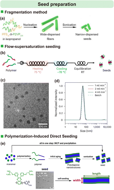 image file: d6cs00030d-f2.tif