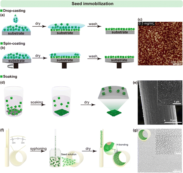 image file: d6cs00030d-f3.tif