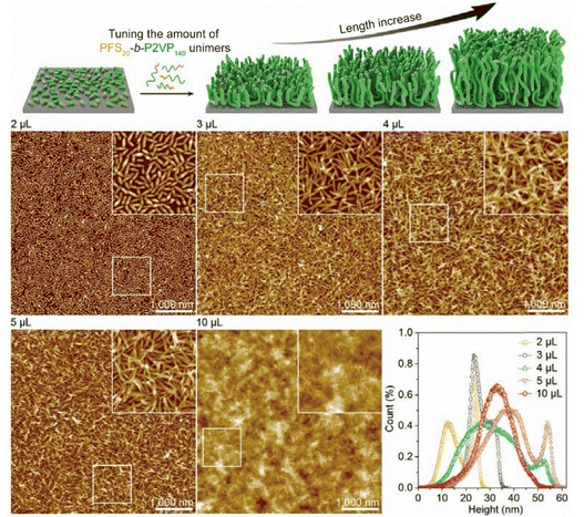 image file: d6cs00030d-f5.tif