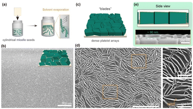 image file: d6cs00030d-f9.tif