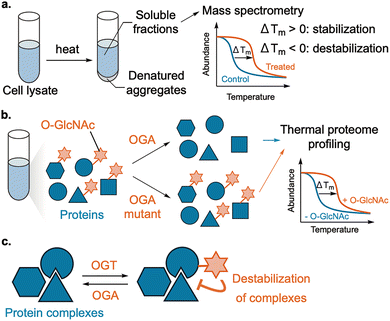 image file: d6cs00107f-f10.tif