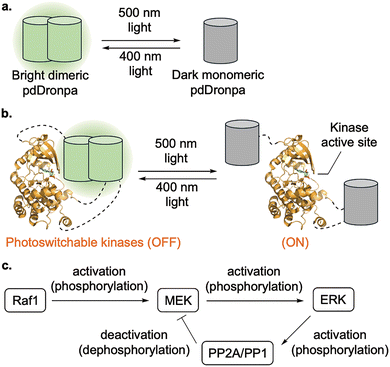 image file: d6cs00107f-f11.tif