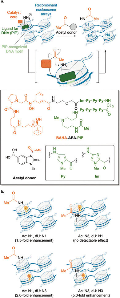 image file: d6cs00107f-f13.tif