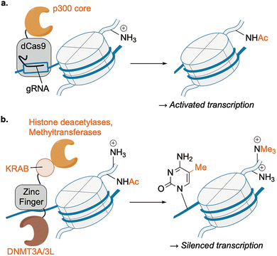 image file: d6cs00107f-f14.tif