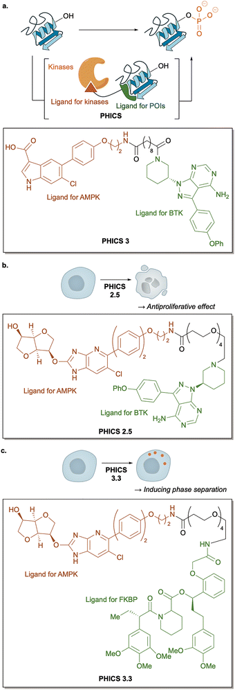 image file: d6cs00107f-f15.tif