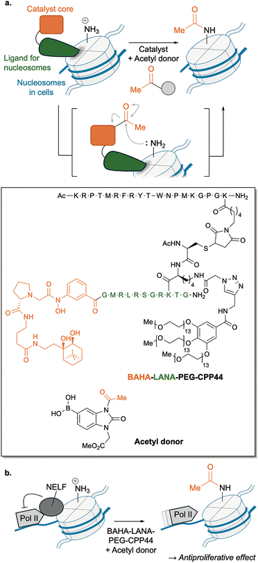 image file: d6cs00107f-f16.tif