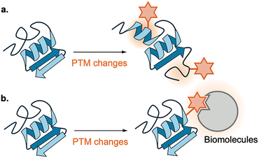 image file: d6cs00107f-f5.tif