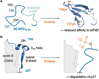 image file: d6cs00107f-f6.tif