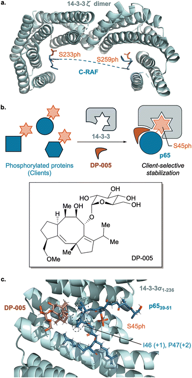 image file: d6cs00107f-f7.tif