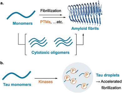 image file: d6cs00107f-f9.tif