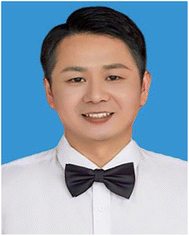 image file: d5dd00401b-p3.tif