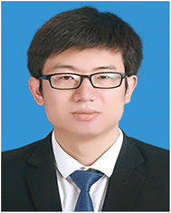 image file: d5dd00401b-p4.tif