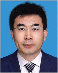 image file: d5dd00401b-p6.tif