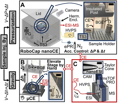 image file: d5dd00492f-f2.tif