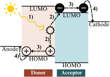 image file: d5dd00552c-f8.tif