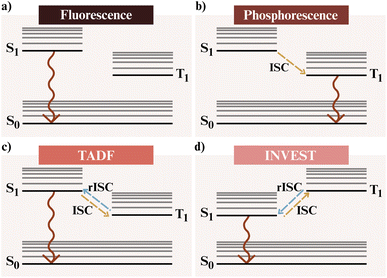 image file: d5dd00552c-f9.tif