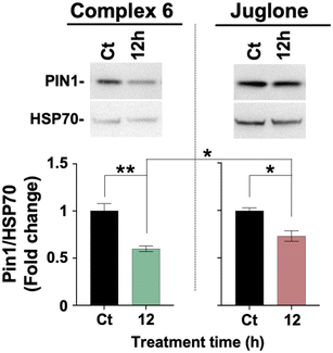 image file: d5dt01792k-f4.tif