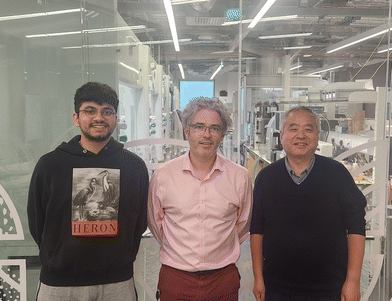 image file: d5dt03084f-p1.tif