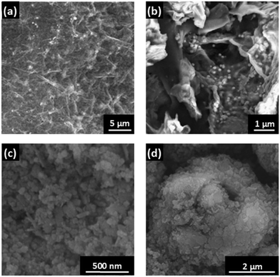 image file: d5eb00112a-f6.tif