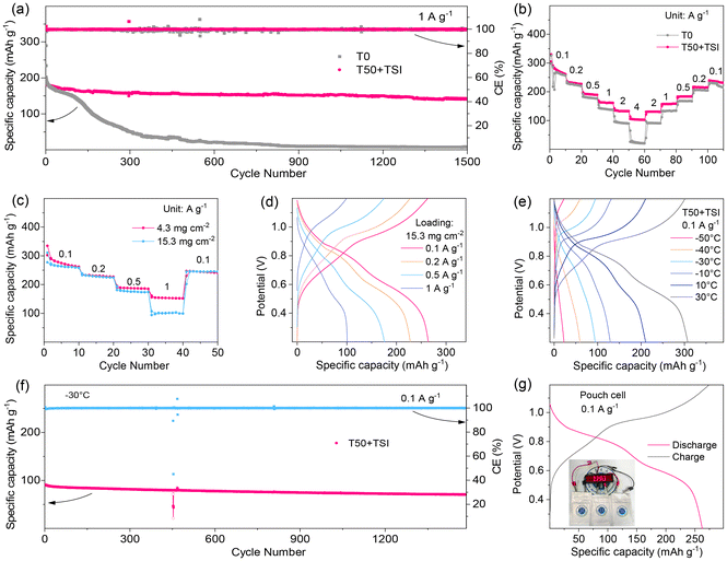 image file: d5eb00158g-f6.tif